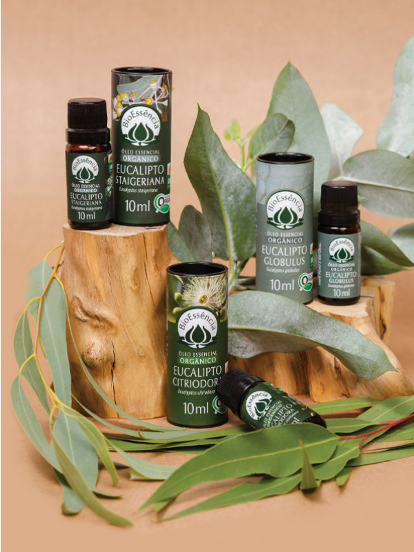 Óleo Essencial de Eucalipto Staigeriana Orgânico 10ML