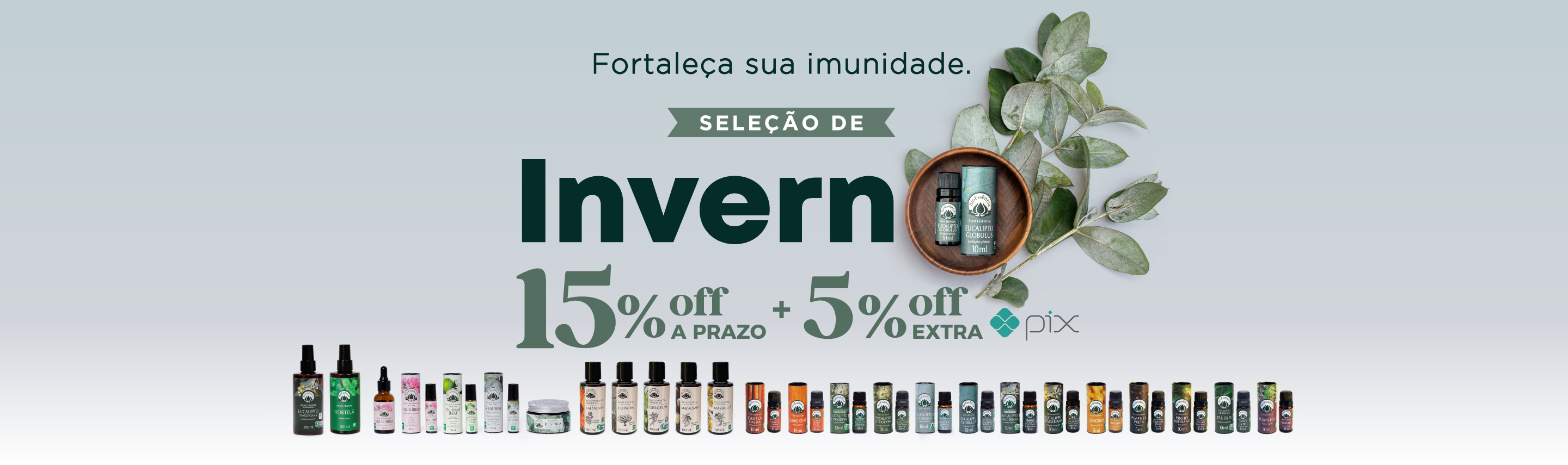Seleção de Inverno