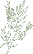 Decoração Flor